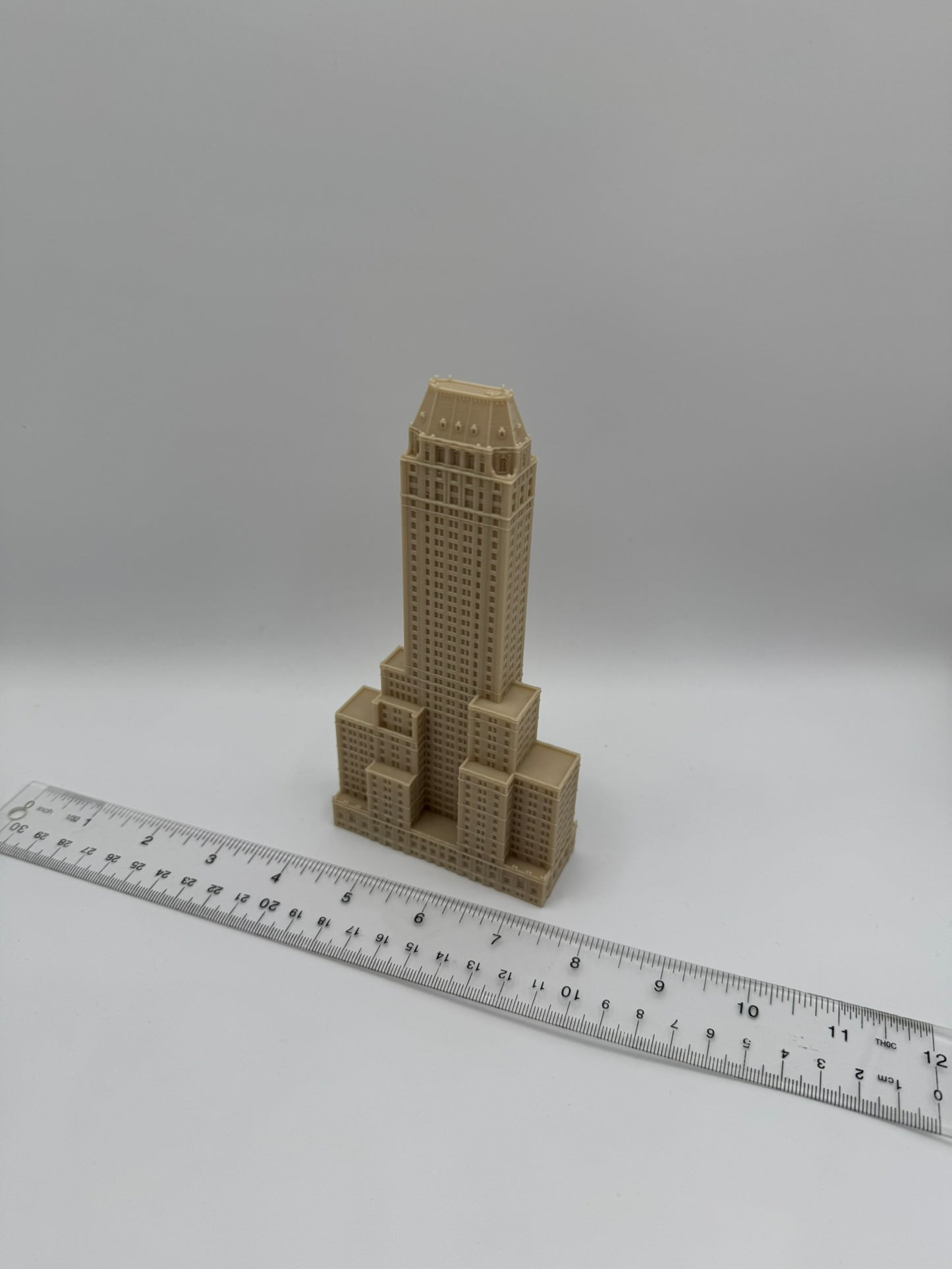 The Pierre Model- 3D Printed